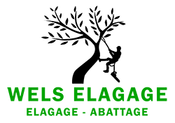 WELS Tony Elagage 13